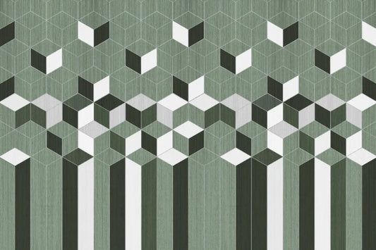 Fine geometry