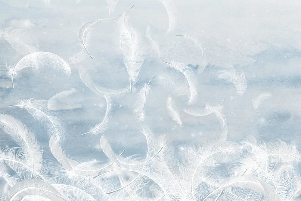 Magic feathers
