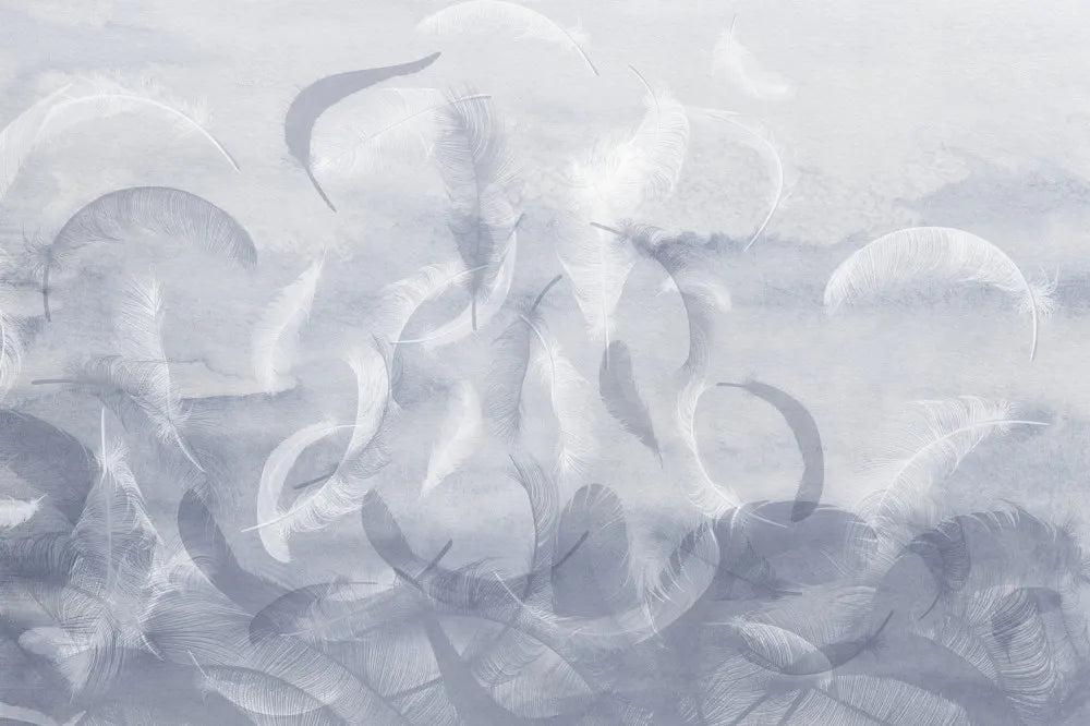 Delicate feathers