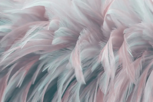 Feathers are delicate