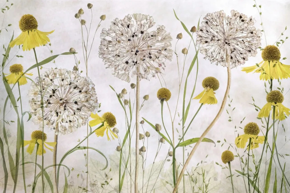 Beautiful flower field