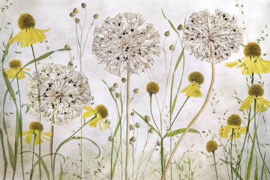 Beautiful flower field