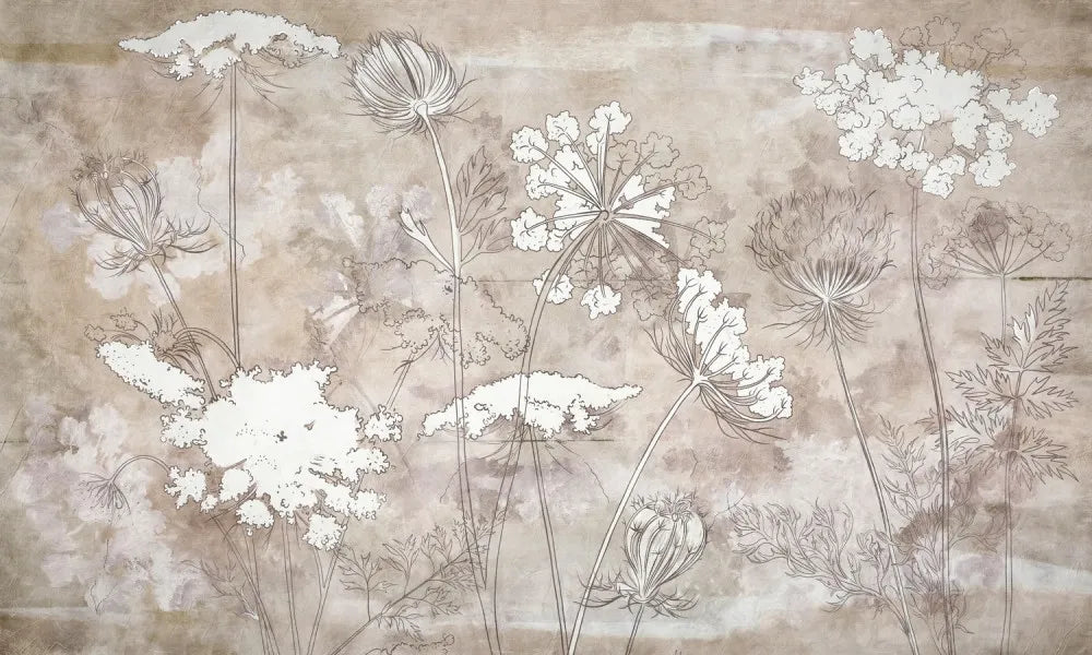 White wildflowers
