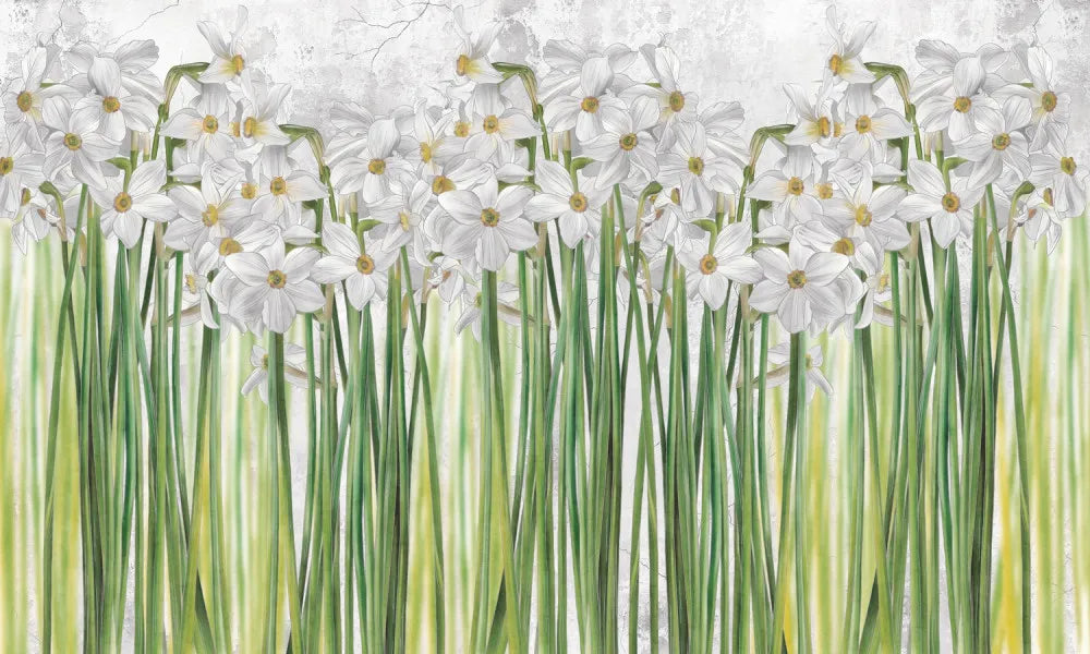 Tall daffodils