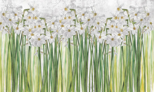 Tall daffodils