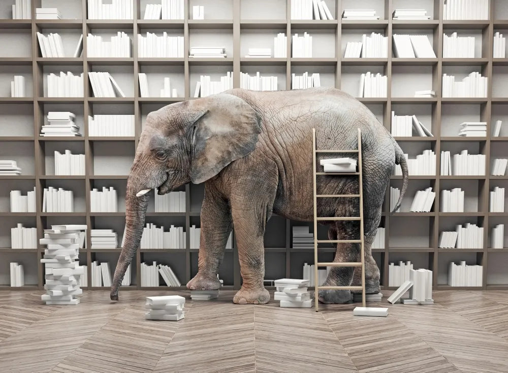Elephant in the room 3D