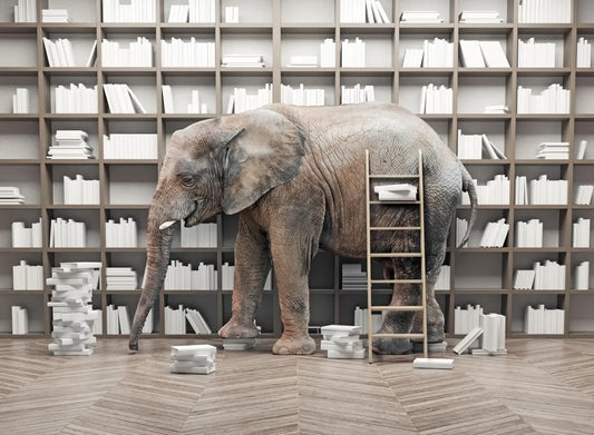 Elephant in the room 3D