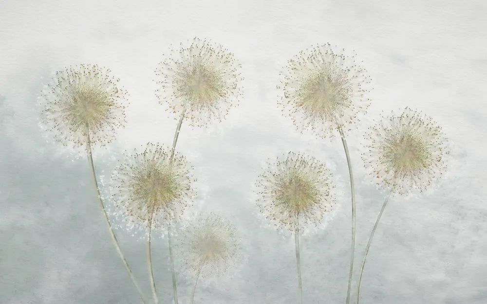Beautiful dandelions