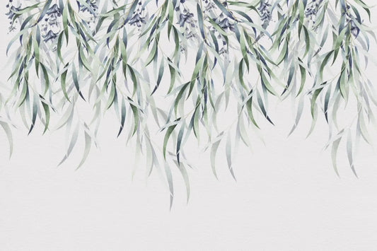 Willow branches