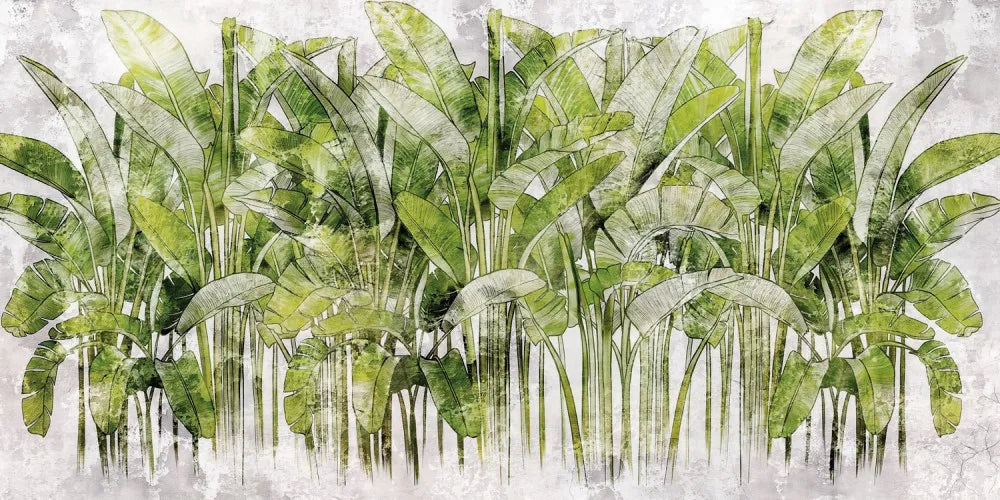 Banana palm leaves