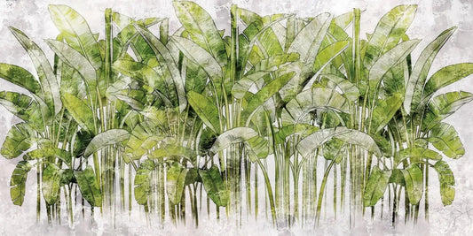 Banana palm leaves