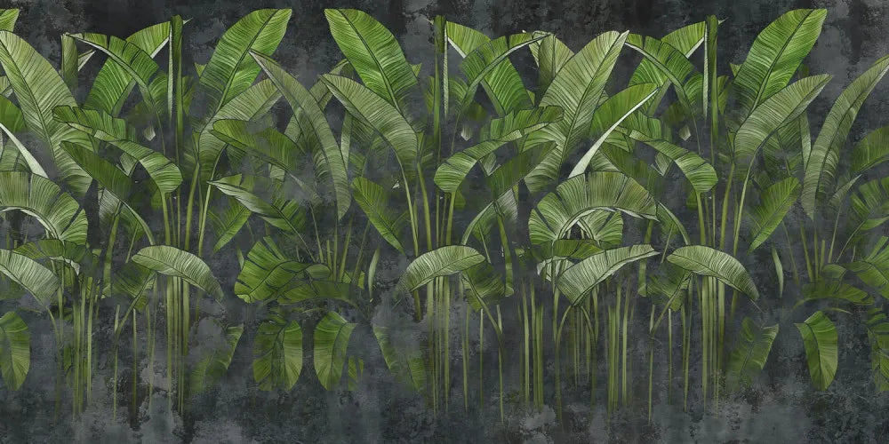 Banana palm