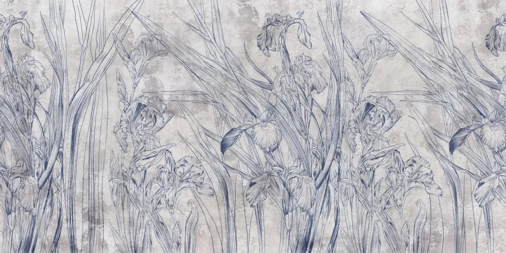 Light irises