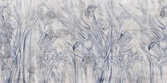 Light irises