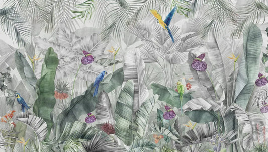 Tropics of Africa