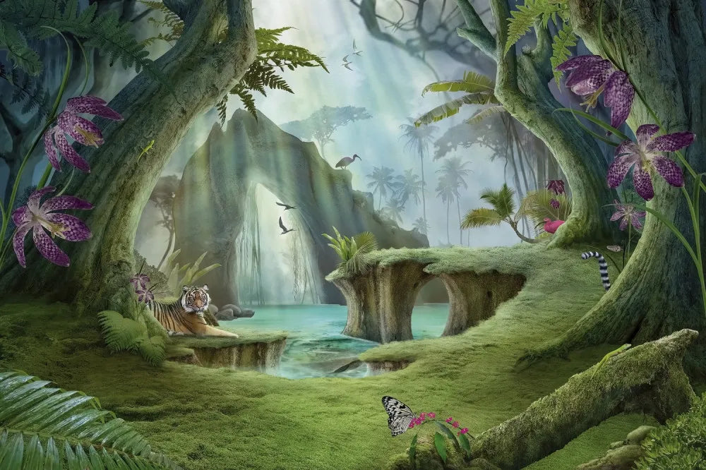 The mystery of the fairy forest