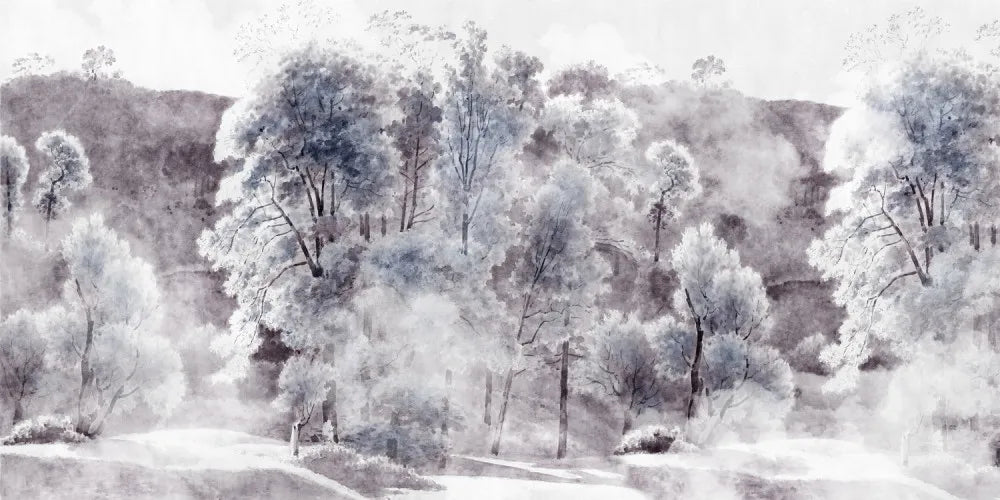 Forest landscape
