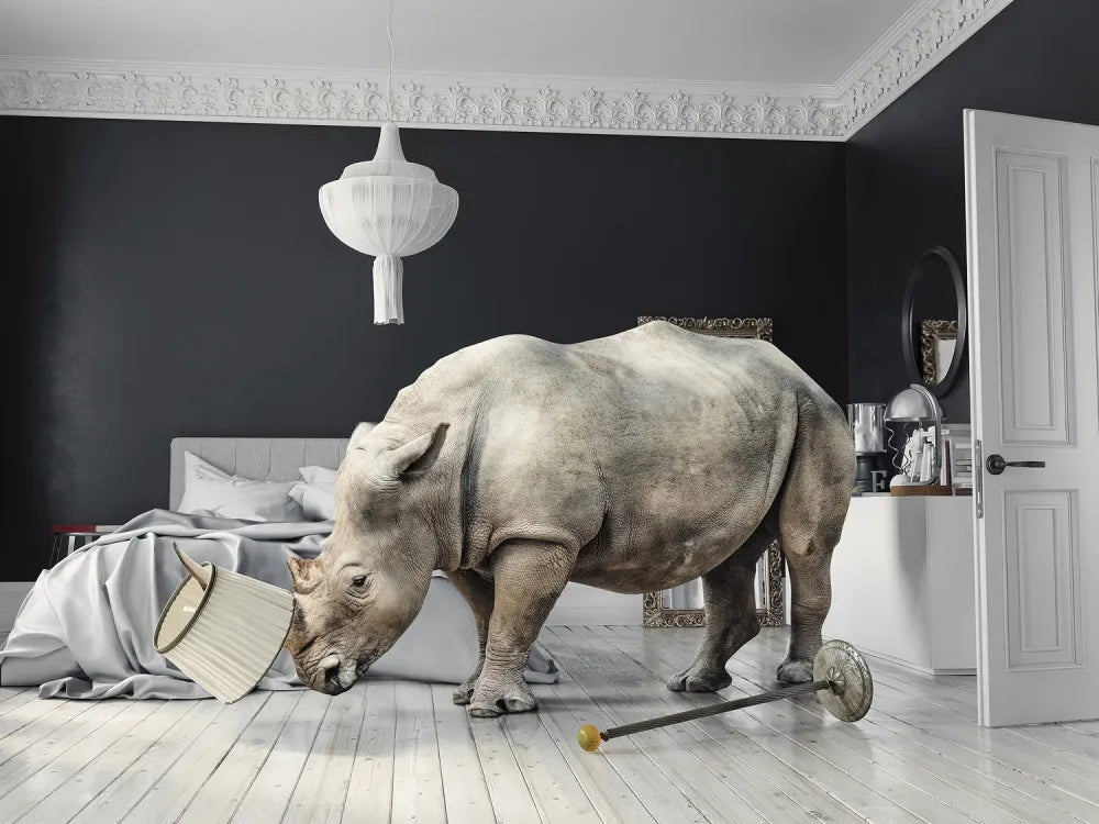 Rhino 3D