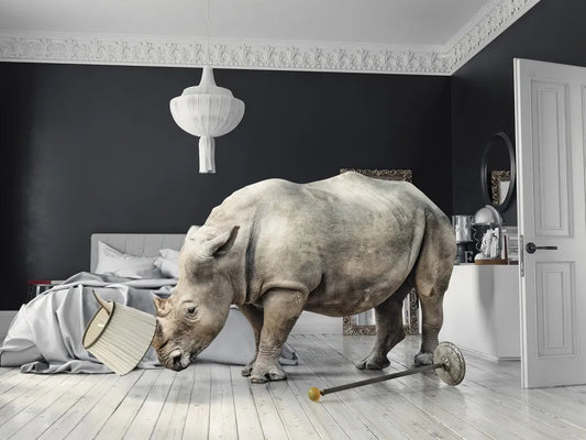 Rhino 3D