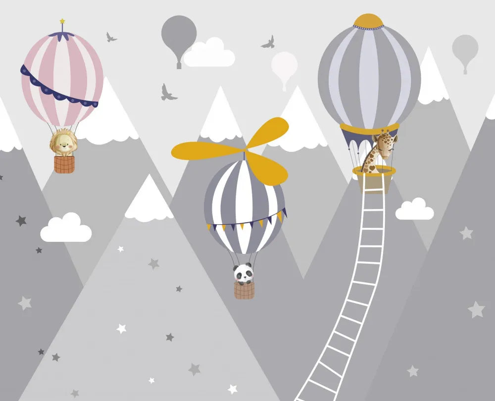 Hot air balloon ride