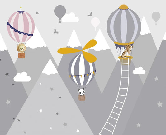 Hot air balloon ride
