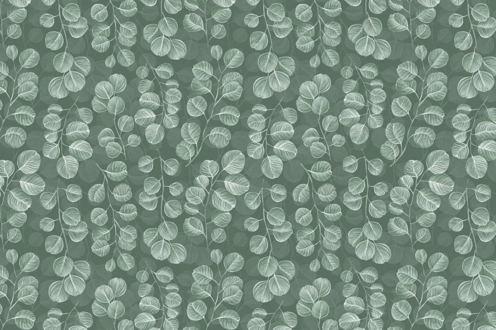 Green eucalyptus leaves