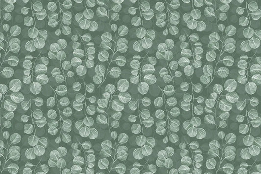 Green eucalyptus leaves