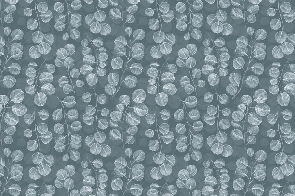 Eucalyptus leaves