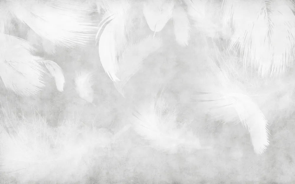 Beautiful gray feathers