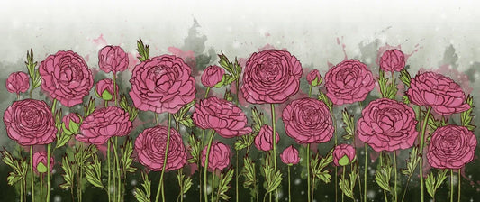 Tea pink roses