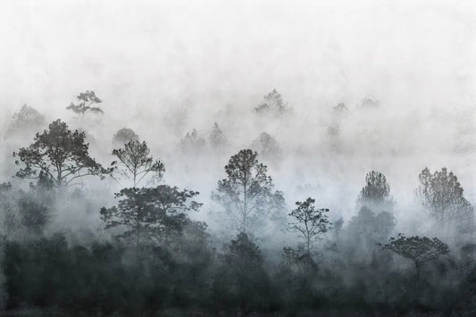 Misty dawn