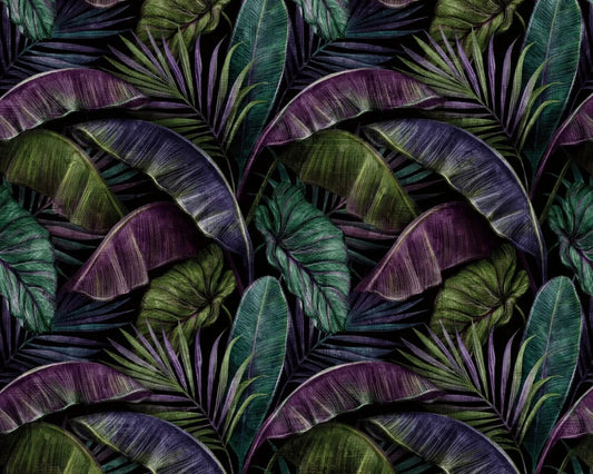 The world of tropical plants