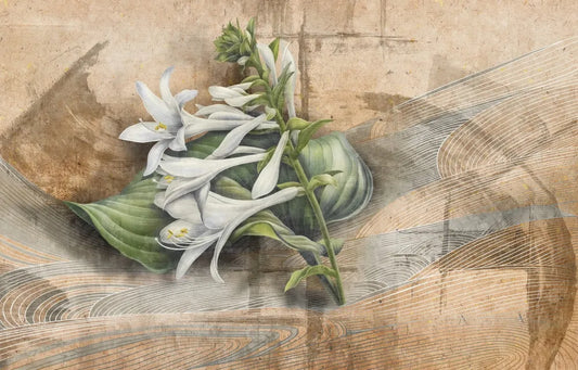 White Lily