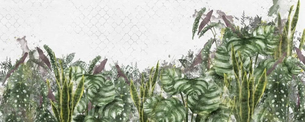 Rainforest plants