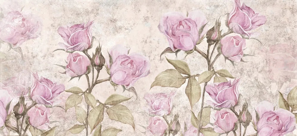 Light pink roses