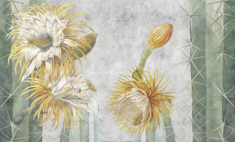 Blooming cactus