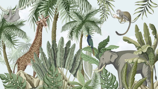 African rainforest