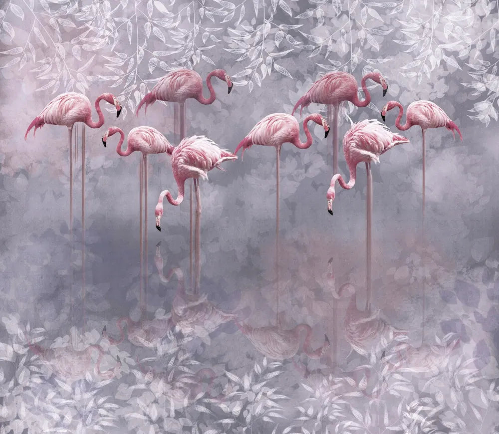 Flamingo in water