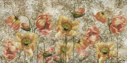Poppies, drawing