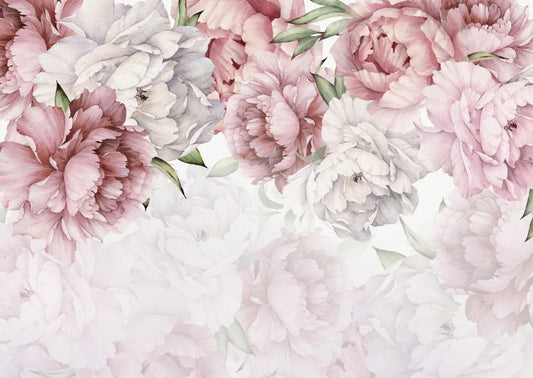 Pink peonies, watercolor