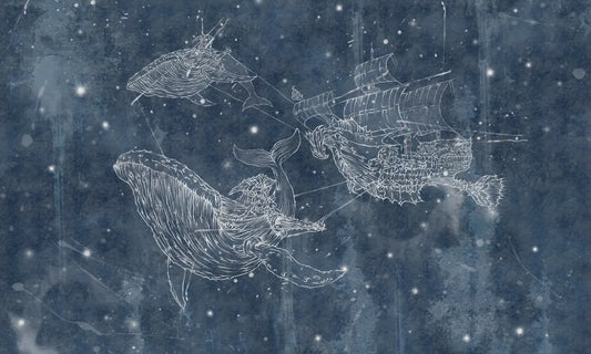 Whale constellation