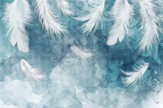 Beautiful white feathers