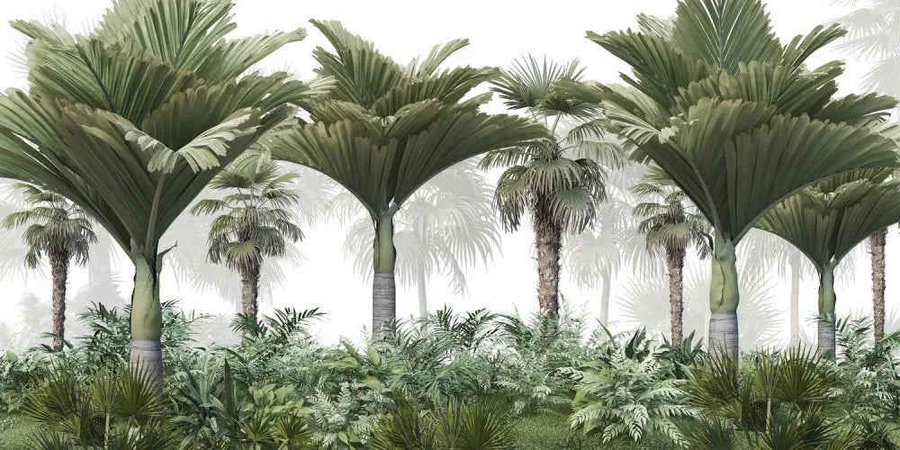 Beautiful tropical forest