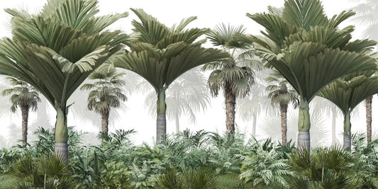Beautiful tropical forest