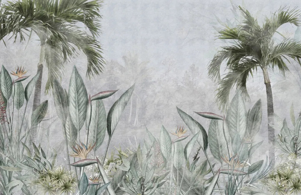 Green tropical forest