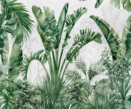 Tropical green forest