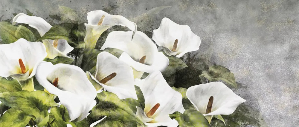 Delicate callas