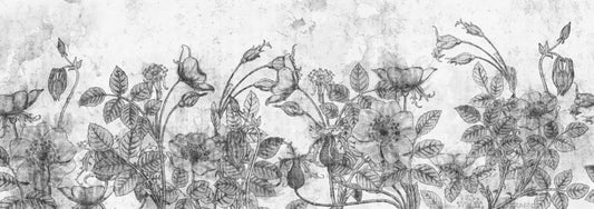 Rose drawing