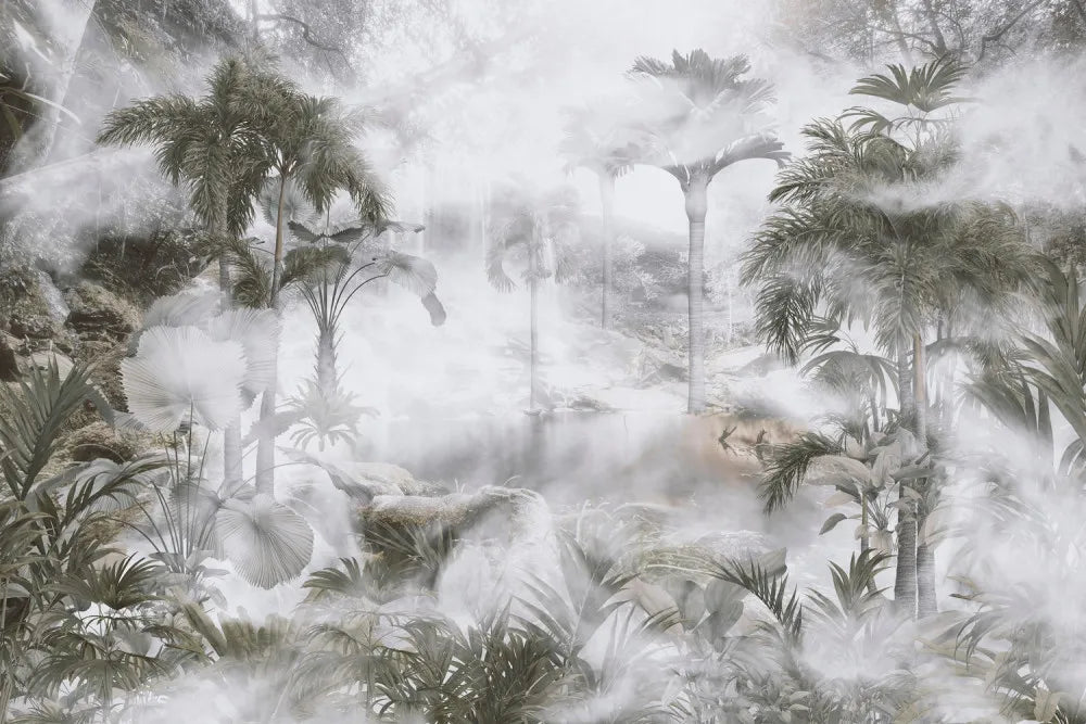 Mysterious jungle