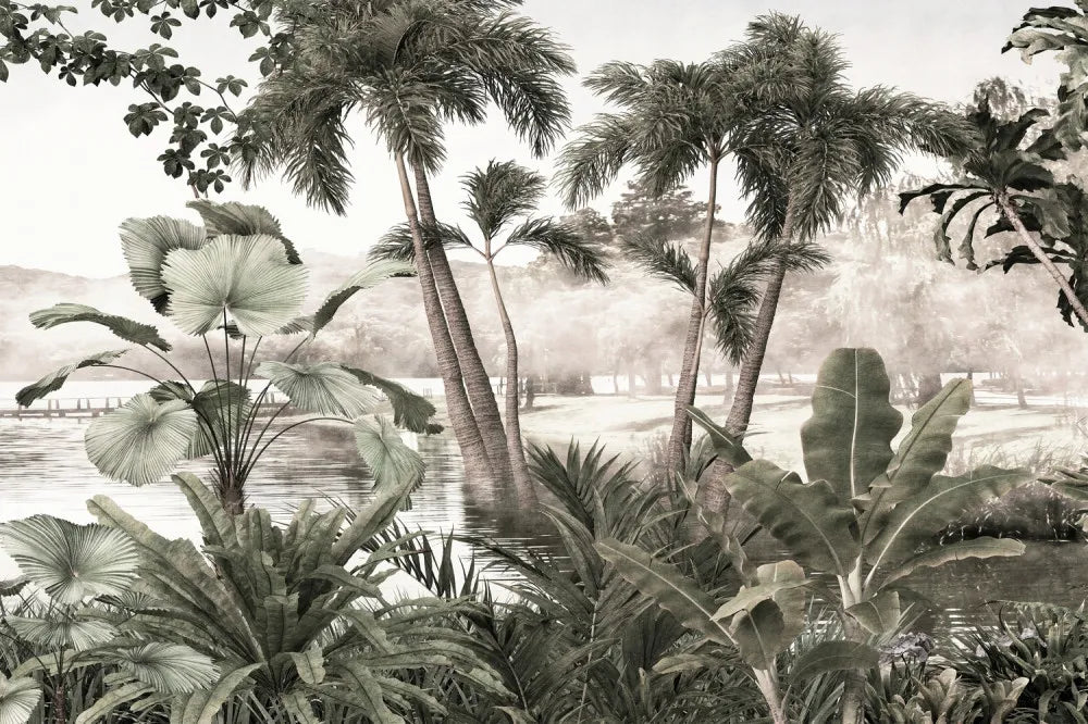 The beauty of the rainforest